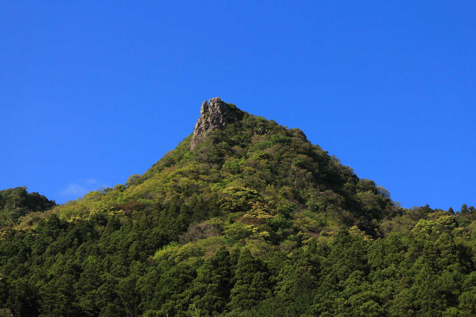 伊予ヶ岳の写真