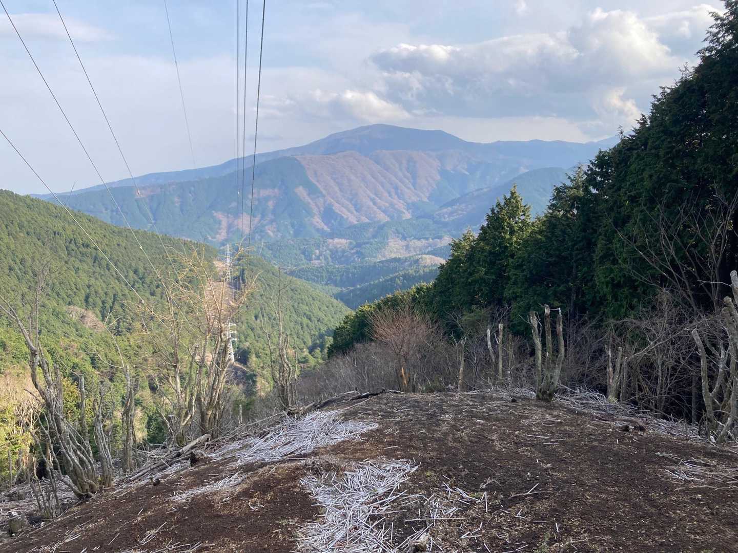 万葉公園バス停-清水越-矢倉岳 往復コースの写真