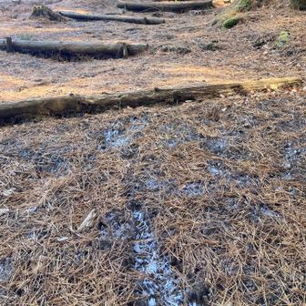 ザクザクと霜柱道
もうすっかりそんな季節