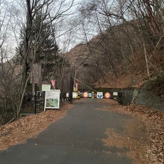 ブラックスタートの予定がなんだかんだ明るくなりました😊
さぁいよいよスタートです！