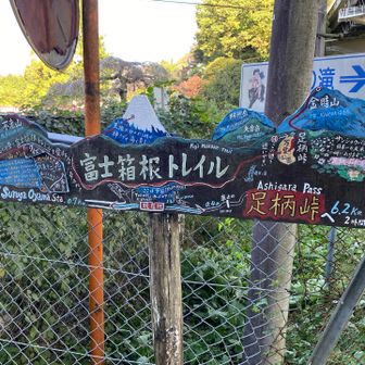 ステキな看板です