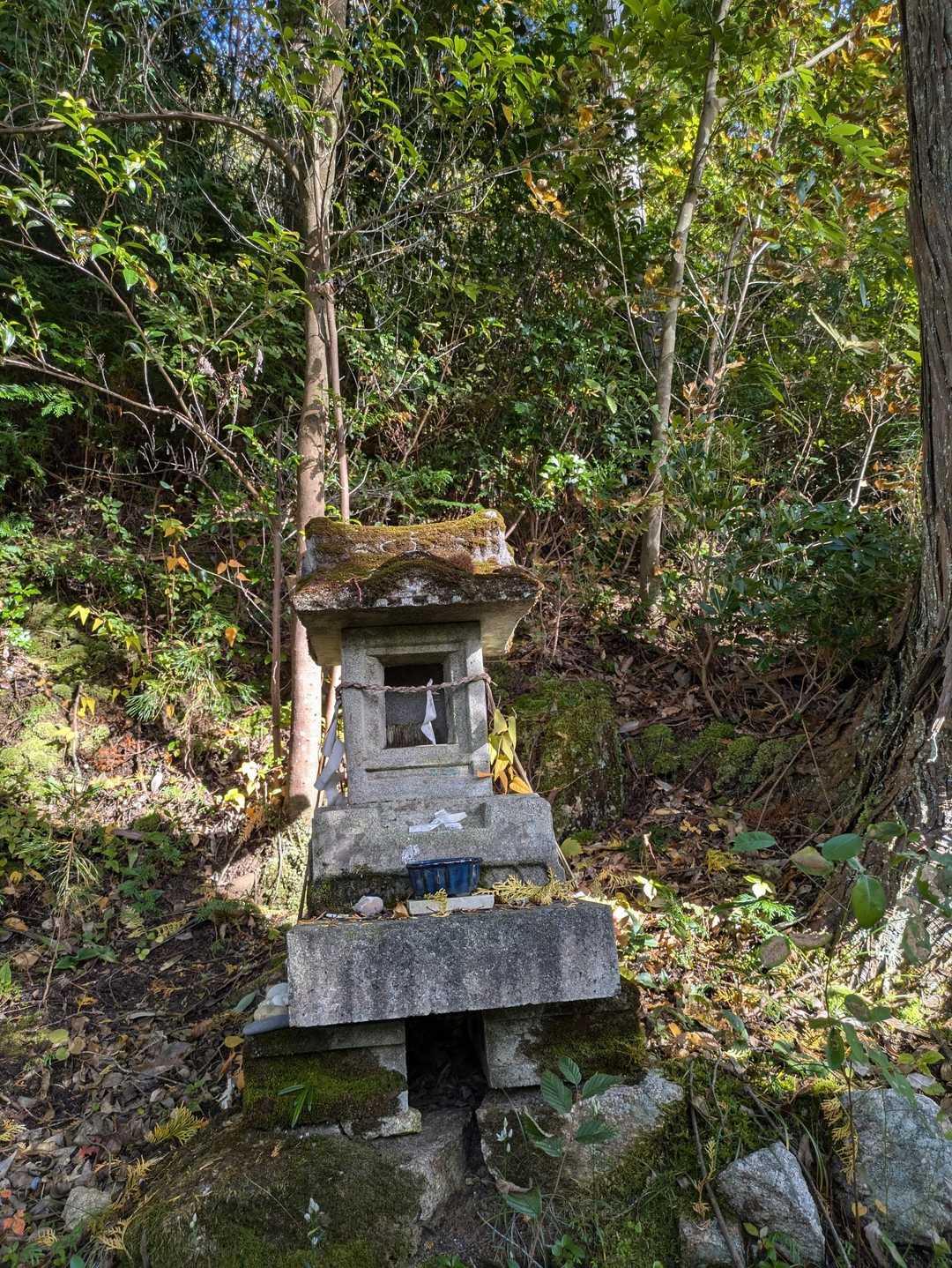 山の神様🙏