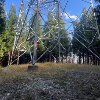 地図では上野山はこの鉄塔付近。看板等は発見できず。