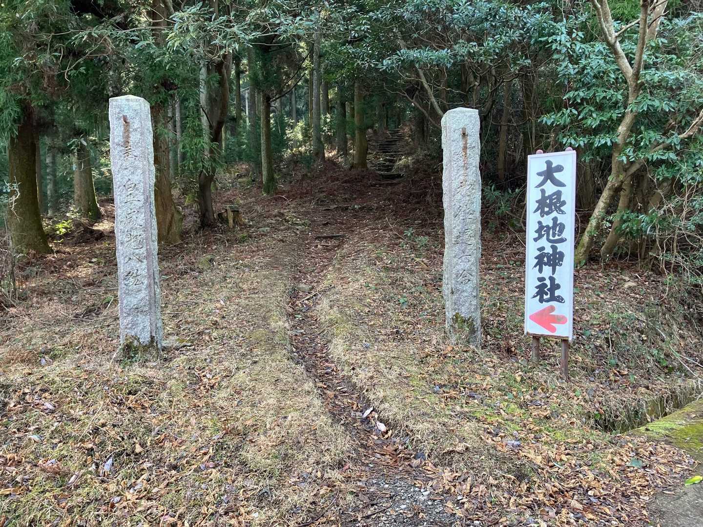 大根地山 往復コースの写真