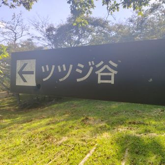 ツツジ谷ってどこ？🤔
ツツジの時も良さそう