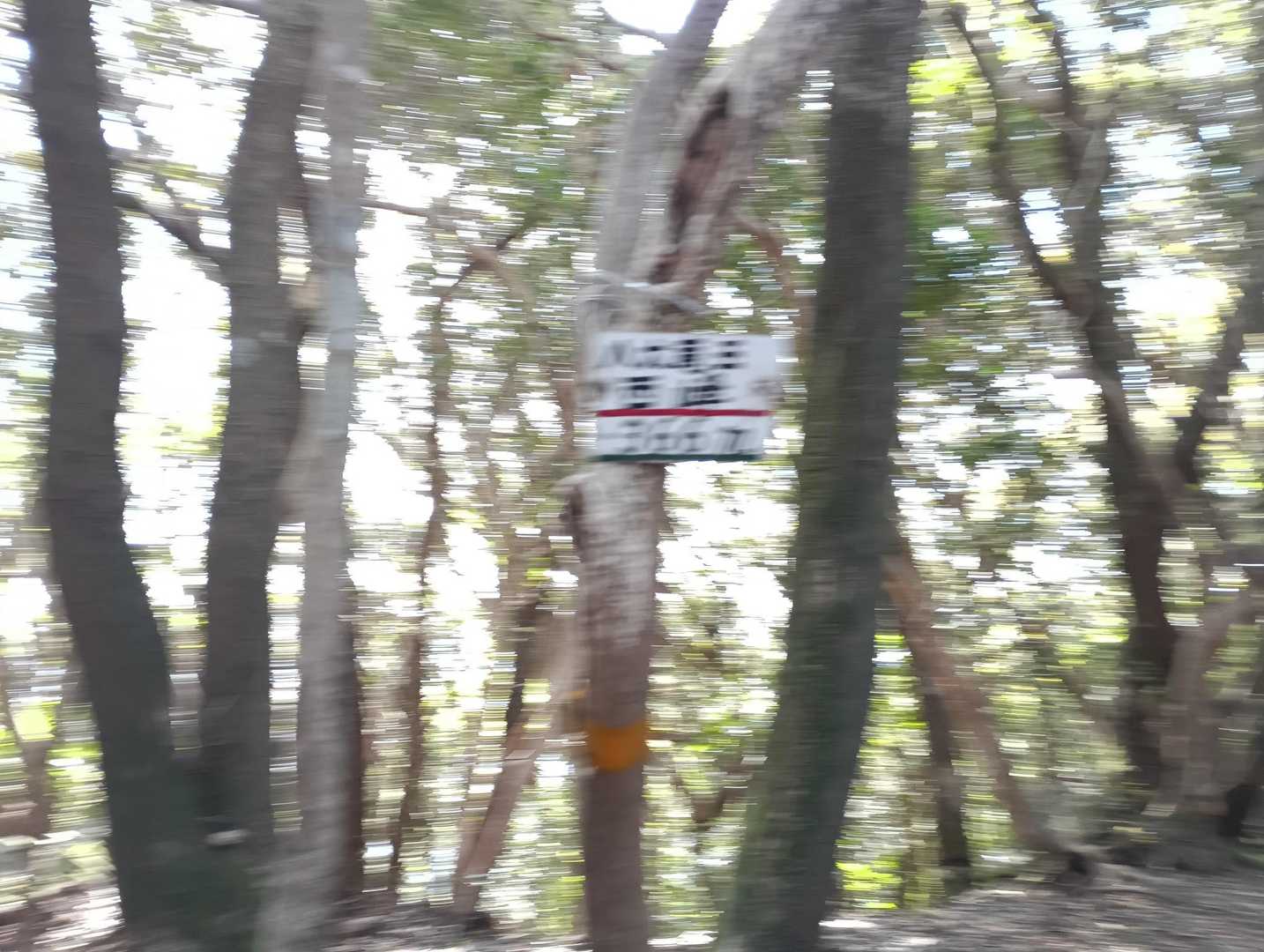 八大竜王西峰(366㍍)頂上🙌　　　


