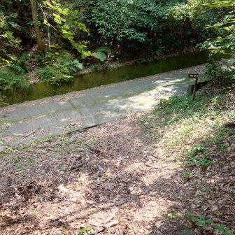下りてきました～
汗拭きタオル、鳶のようには回収出来ず😭