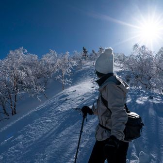 トムヤムおはぎ