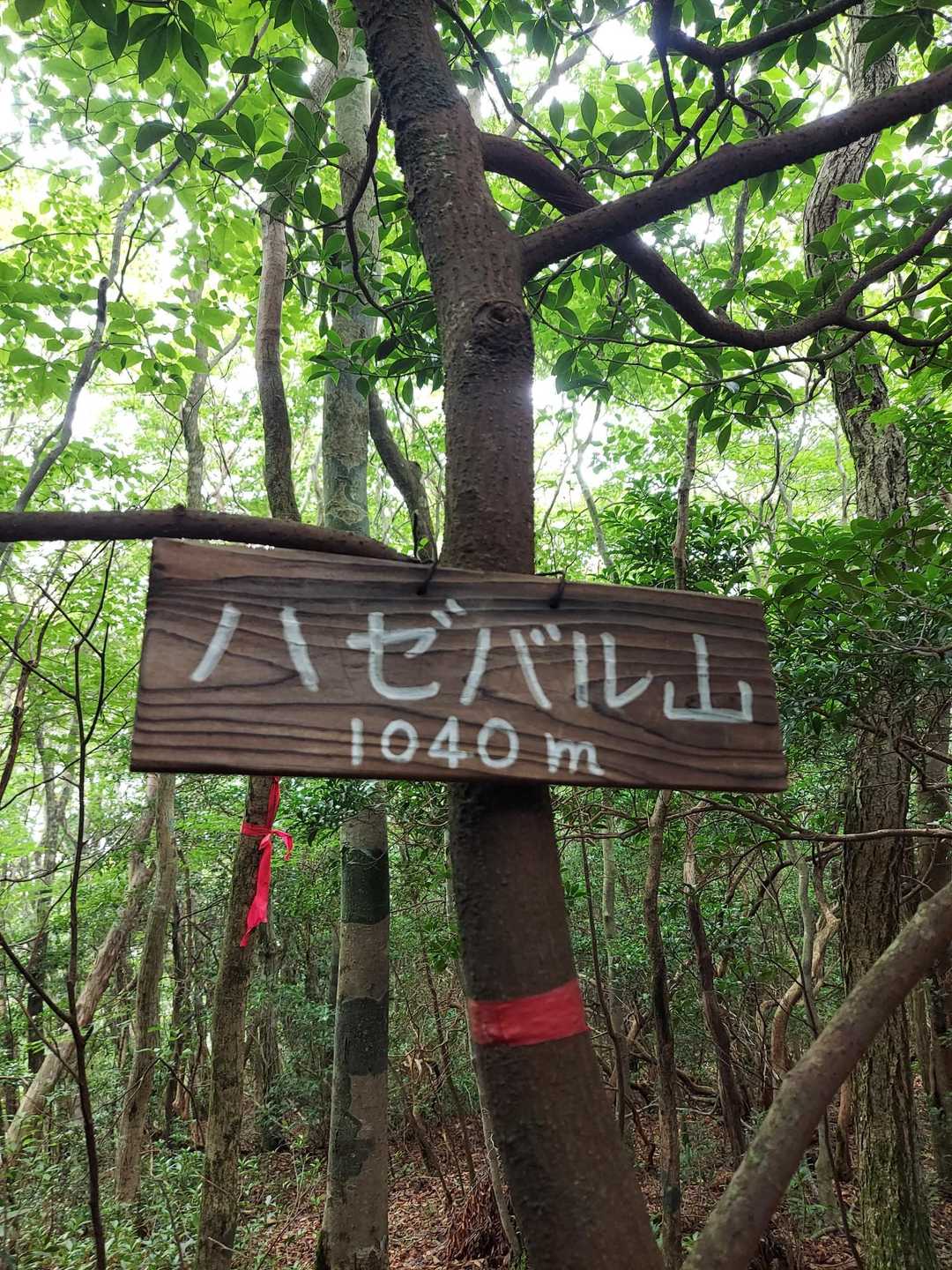 無事到着
ハゼバル山⛰️