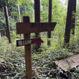 亀山峠に戻りましょう。