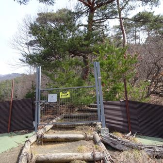 害獣よけのゲート
電気が流れています
うっかり触れたら結構な衝撃でした⚡️