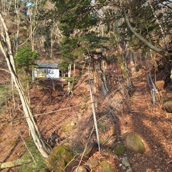 愛鷹山荘が見えた！