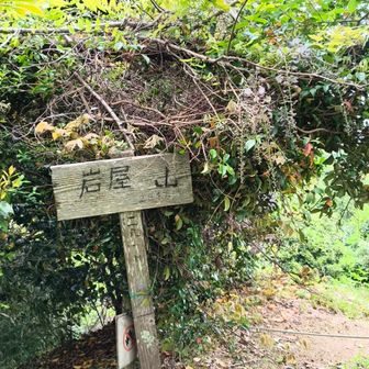 岩屋山