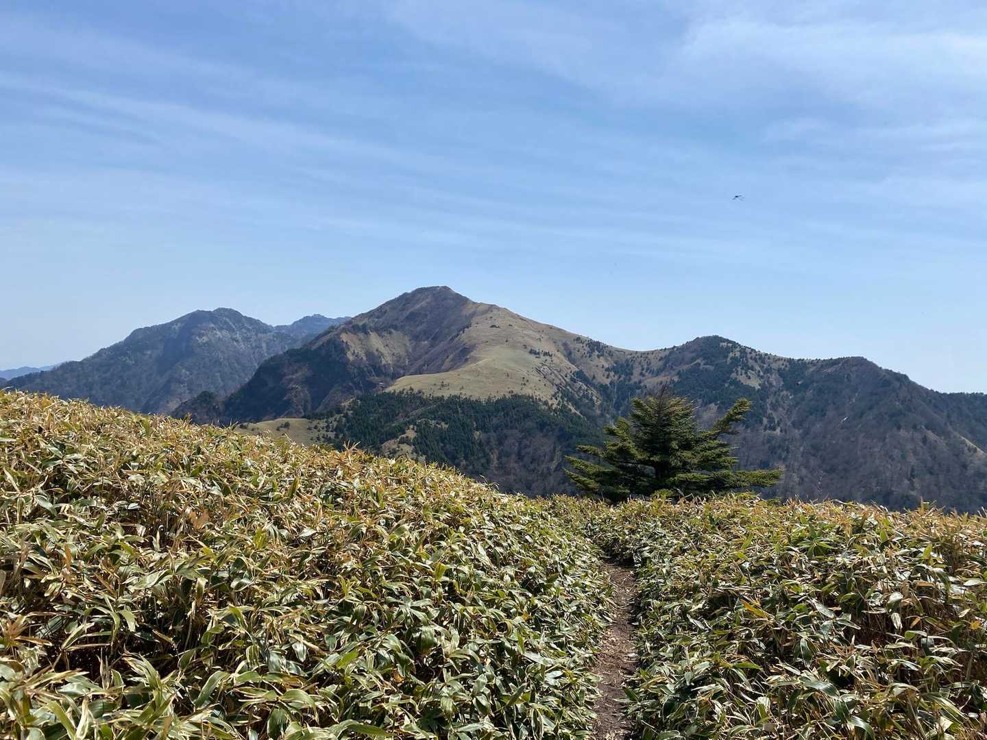 次に目指す鞍瀬ノ頭と、
左奥に石鎚山の頂上山荘