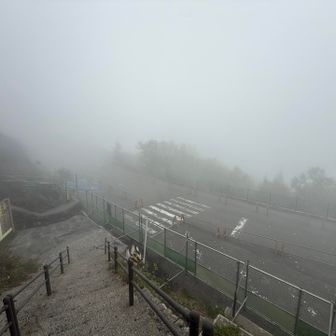 下は真っ白でした