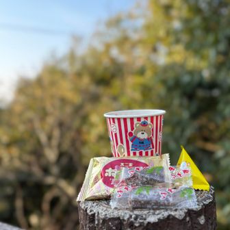 ラジオ体操後に皆んなで珈琲 Time
Kaoru cafe open☕️🍪