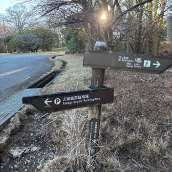 ハイカー用駐車場の斜め向かいから