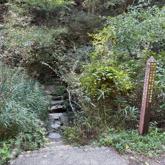 ここから湖の畔を歩きます。