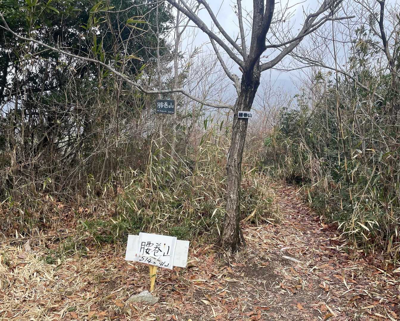 腰巻山山頂に到着🙌
雨はなし❗️どうにか目的地まで来れました💪