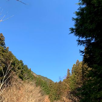 青い空
とても良い天気です。

黄砂で鼻水でます🤧