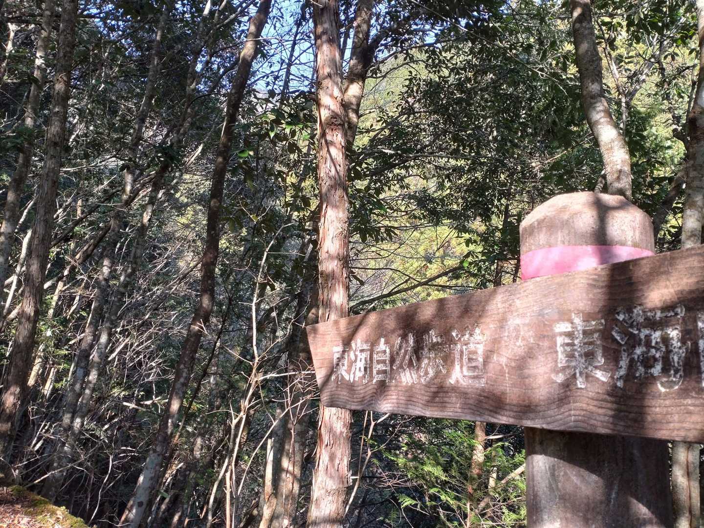 林道の脇スペースに駐車。
作業のトラックが往復していました。
お邪魔にならないように注意です〜