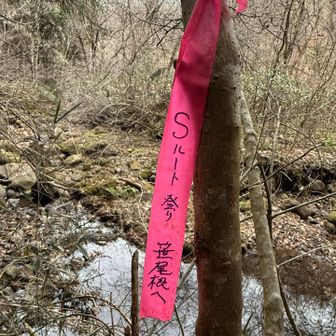 ショートカットのS?