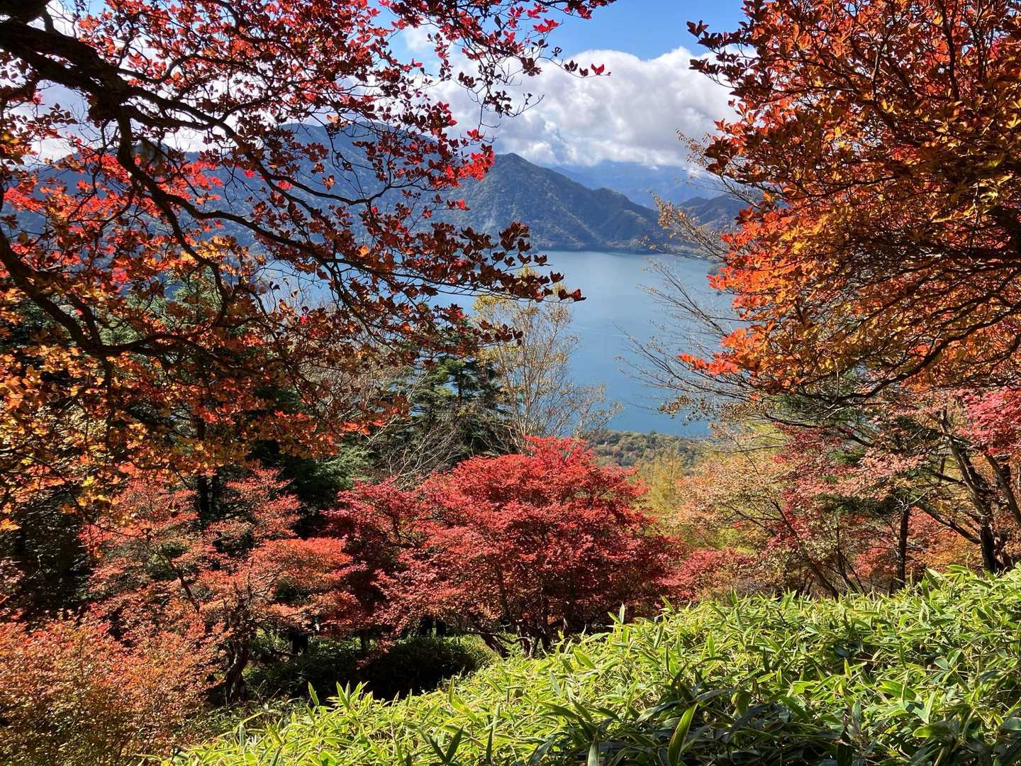二荒山神社-男体山 往復コースの写真