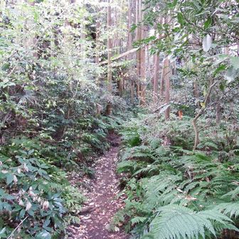 少し荒れています。