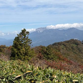 大山がバッチリ👍最高😃！