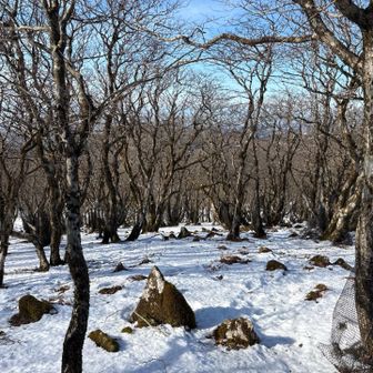 山頂はまだまだ雪あります❄️