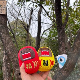 段々、木に引っ掛けるの面倒になり手乗り🖐️