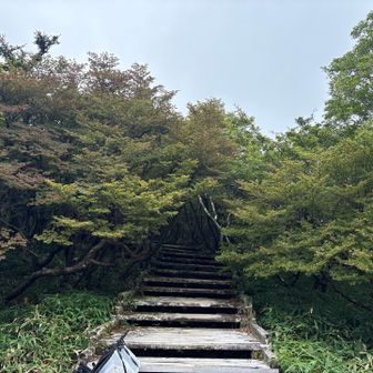 紅葉の頃はやばいきれーやろな