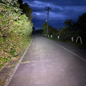少し明るくなってきた〜ヘッデン点けて舗装路から

早朝出発、誰もいなくても、熊いないって気持ちがすごく楽〜🎵