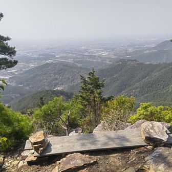 快晴ではないから海までは見えないなー

皆と合流するため急ぐ💨

共有情報て便利な機能だなあ
みんなが今どこ歩いてるか分かる