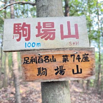 駒場山登頂100m
YAMAP104m
足利百名山74