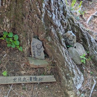 犬目丸展望台の道標？のお地蔵様。この石の道標、このルートの各所で見られましたが可愛いですね