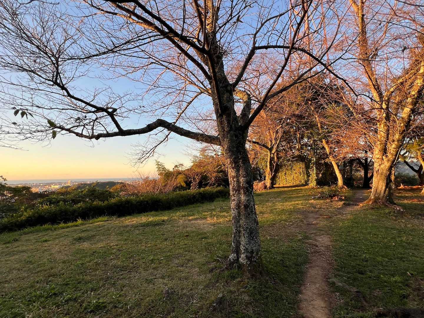 谷津山頂の広場です🏞️
街と海を眺めながら過ごせる
素敵な場所🏟️✨
