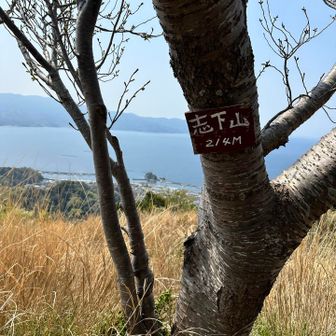 志下山登頂⛰️
絶景山頂すぎ！