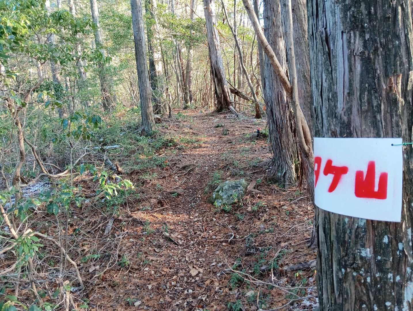 尾根ルートを😃🚶