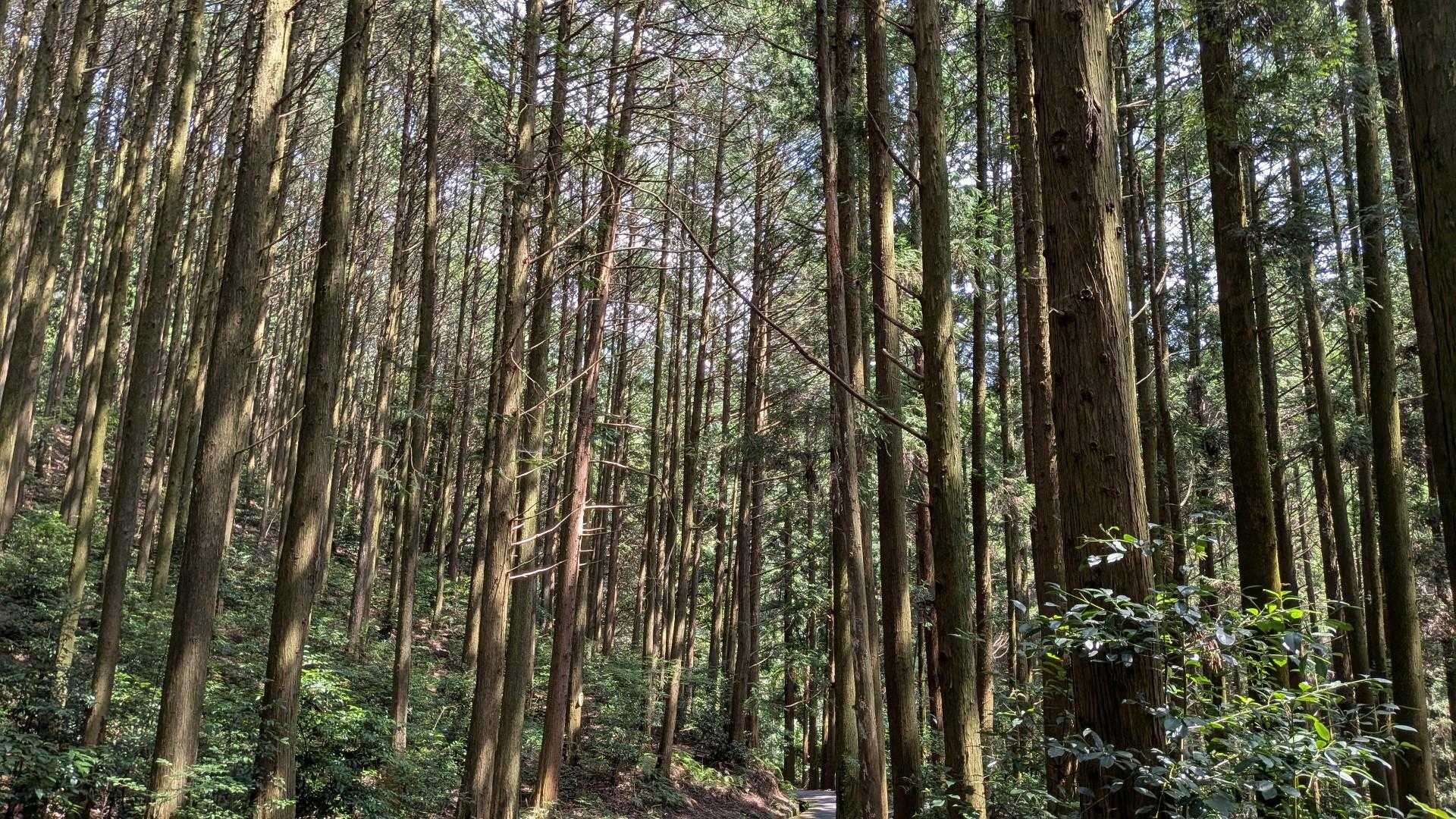 ようやく下山😊
今日は829宝満の日のイベントとても楽しかったです。
宝満山が繋いでくれたご縁に感謝😆
ありがとうございます！！
また宝満山でお会いしましょう！！
