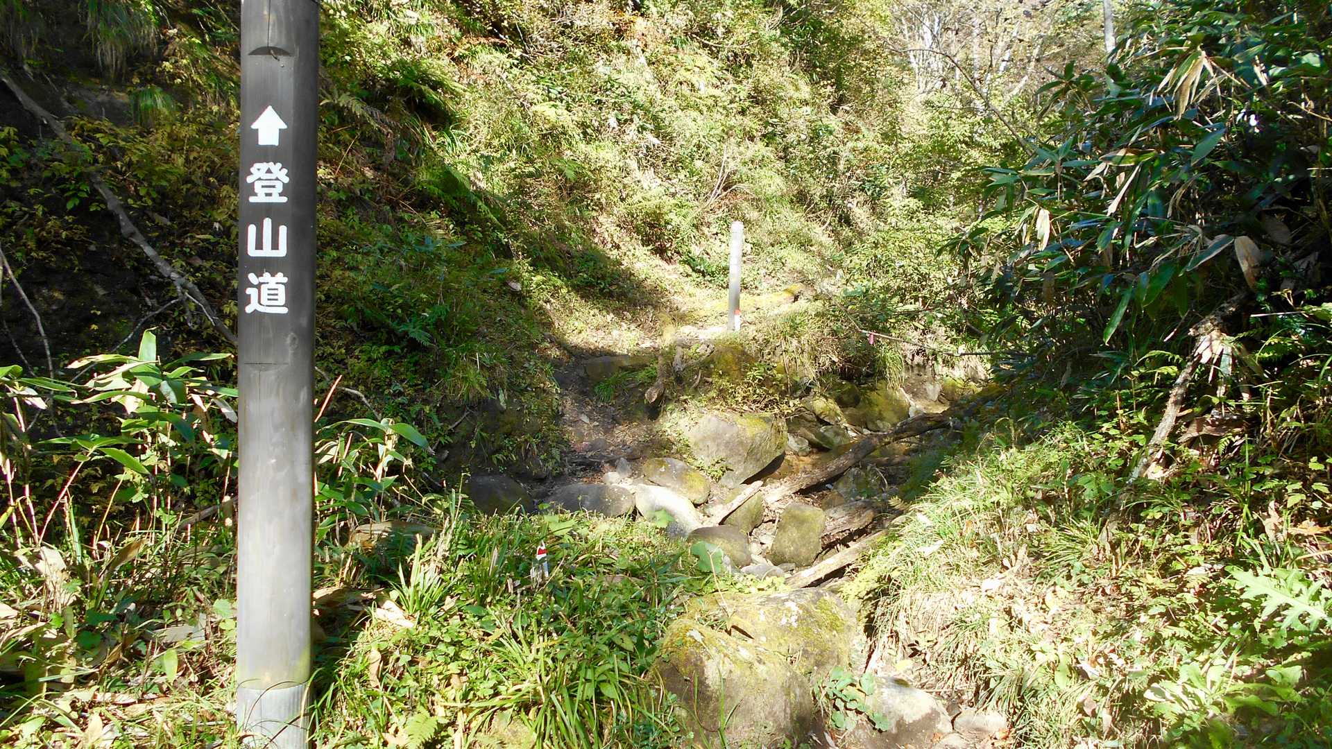 知らなかったけど、３回くらい沢を渡るんですね。