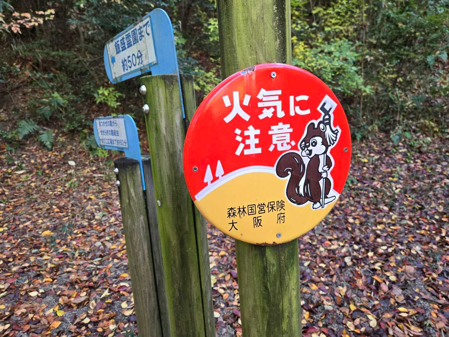 まといリスさん大阪バージョン