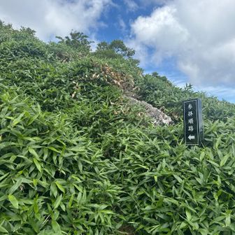 お参りの順路があります。お参りしない方はそのま真直ぐお進みください。