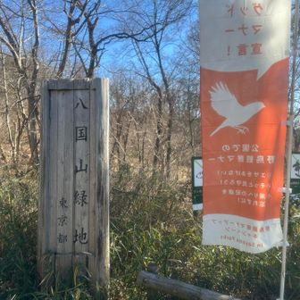 ここから緩やかに登り。