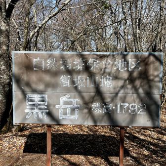 下山時に気がついた「黒岳」の畳1枚分はある大きな山頂標識😅大きすぎて今まで気がつきませんでした🤣
