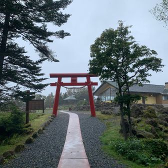 ⛩️まで戻って来た。
⛩️の向こうは横殴りの☔️🌀
散策コースは雨も降ってなくて風もなかったから、この違いには驚いた。