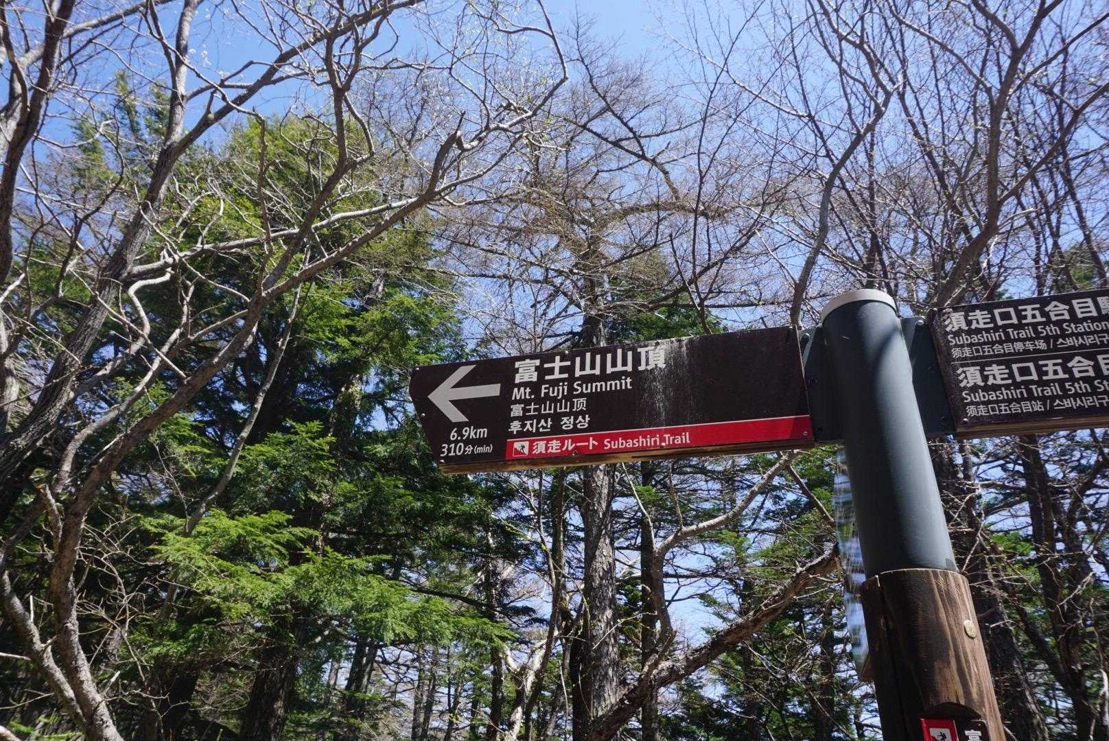 ずーっと進んだら富士山山頂着くんだ〜🤔