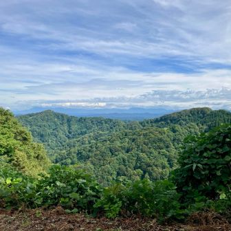 魚沼方面の山々、越後三山や巻機山が見えます