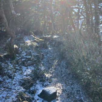 雪&霜柱が凍ってる〜
