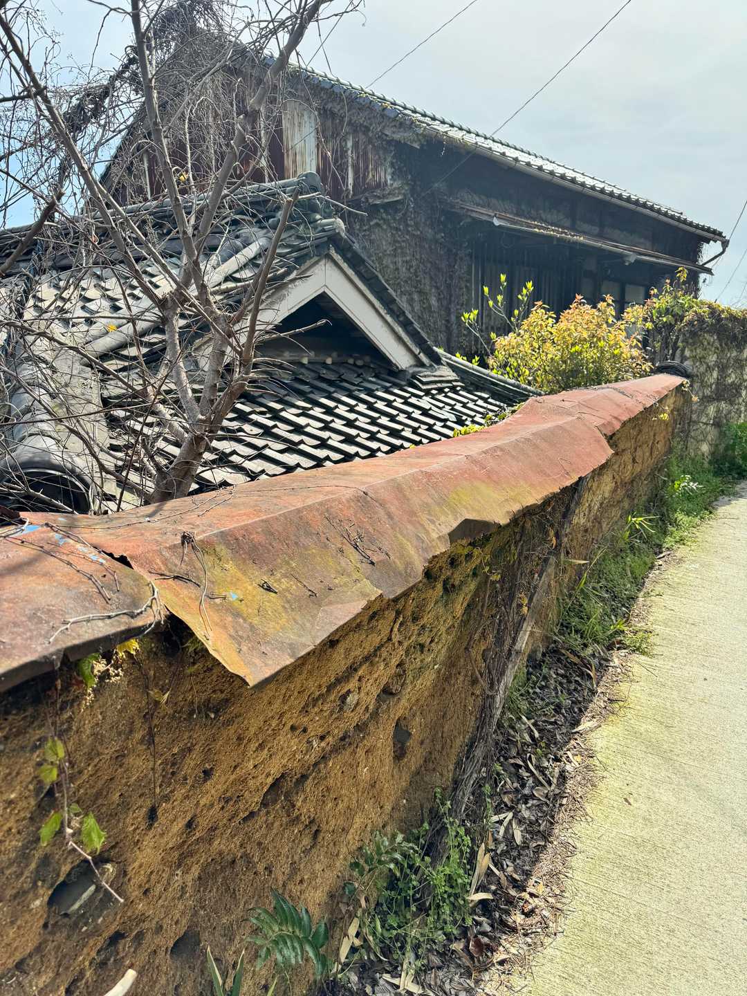 【フラット登山】尾道の丘と路地と海・放浪するには最高の街の写真